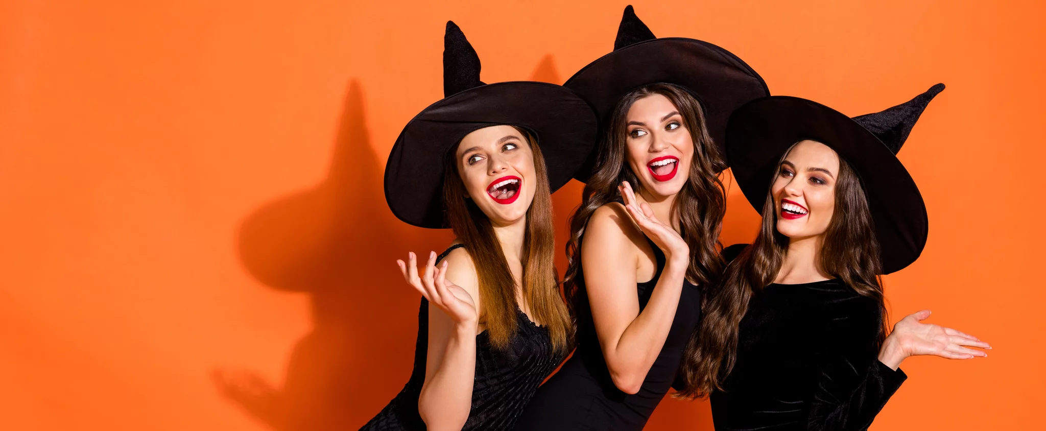 Fashion Nova Sales -Fashion Nova Sales 8e376a836307cdeec37741.38059173